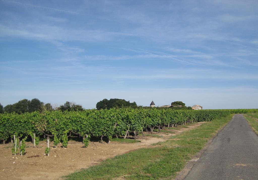 La Petite Grange Lorignac Exterior foto